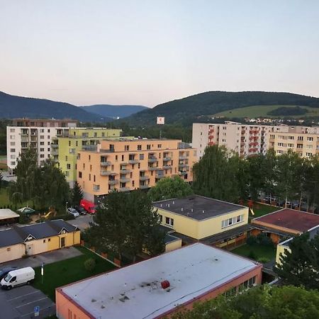 Byvanie V Sukromi S Vyhladom Na Tichom Mieste V Pu Apartment Puchov Exterior photo